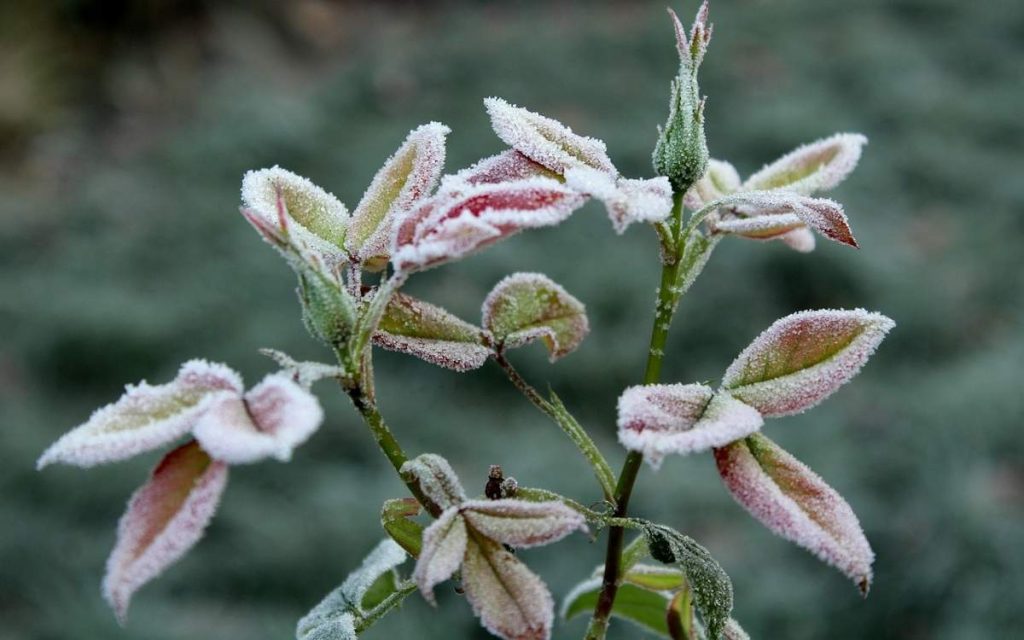 3 қазанда ауа райына байланысты бірқатар өңірде ескерту жарияланды