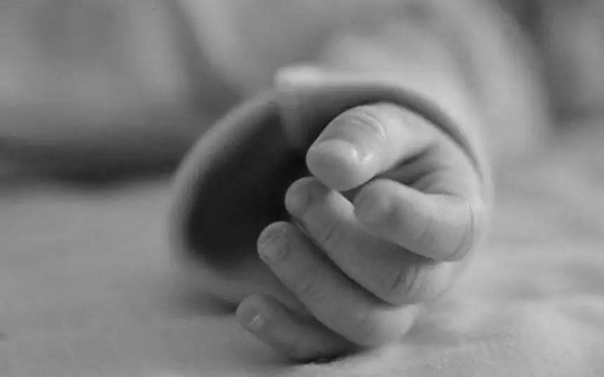 Түркістан облысында сәбидің өлі денесі табылды