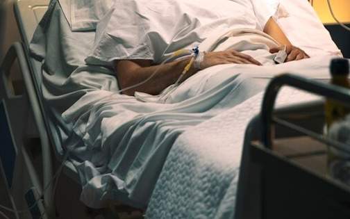 Отарда комаға түскен сарбаз есін жиды