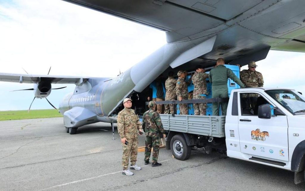 Қазақстанға Чехиядан керқұландар жеткізілмек