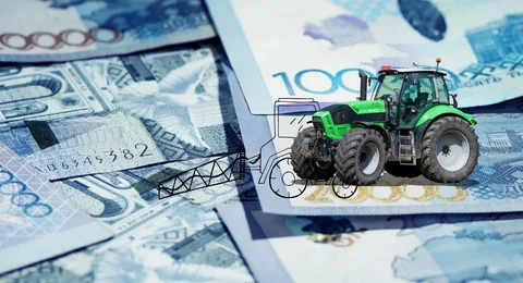 Шығын 500 млн: Павлодардың пайдакүнемдері ауыл шаруашылығын дамытуға бөлінген қаражатты жымқырған