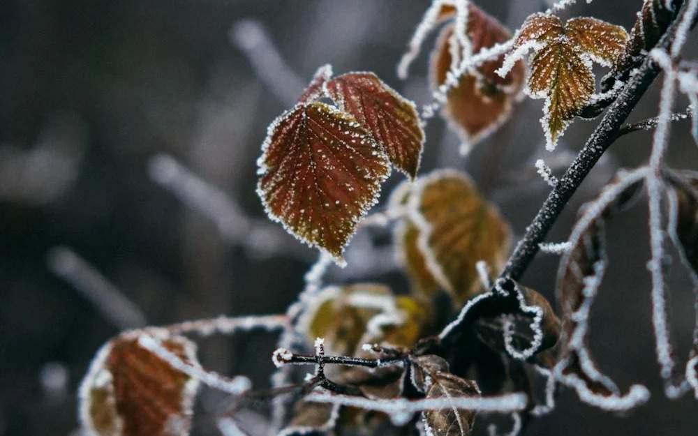 Қарағанды облысында қазан айына ауа райы болжамы
