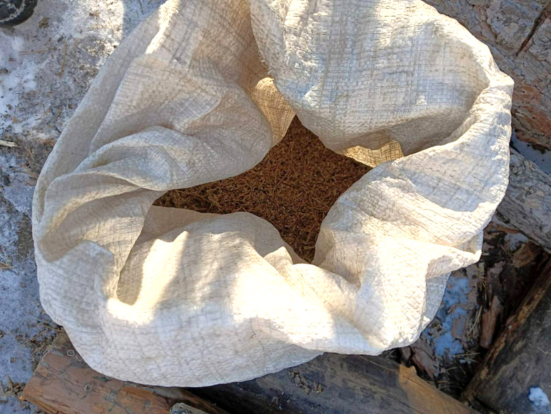 Жамбыл облысында ер адамнан 32 келі есірткі тәркіленді