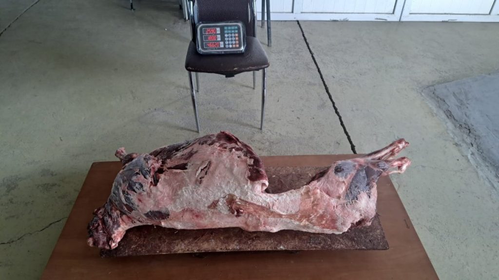 Атырауда киік ет комбинатында сойылып, еті базарда сатылады