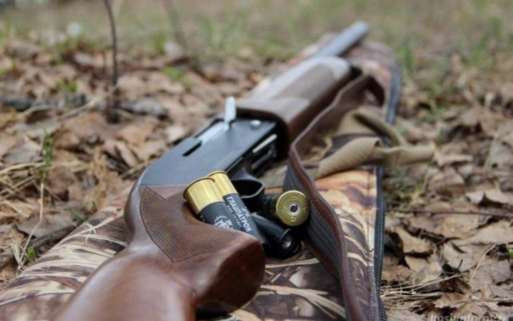 Қазақстанда аю мен қасқырды атуға қатысты лимит өзгеруі мүмкін