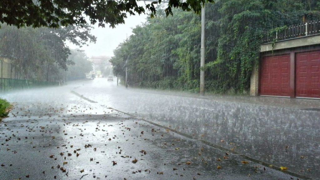 Елдің басым бөлігінде жаңбыр жауады