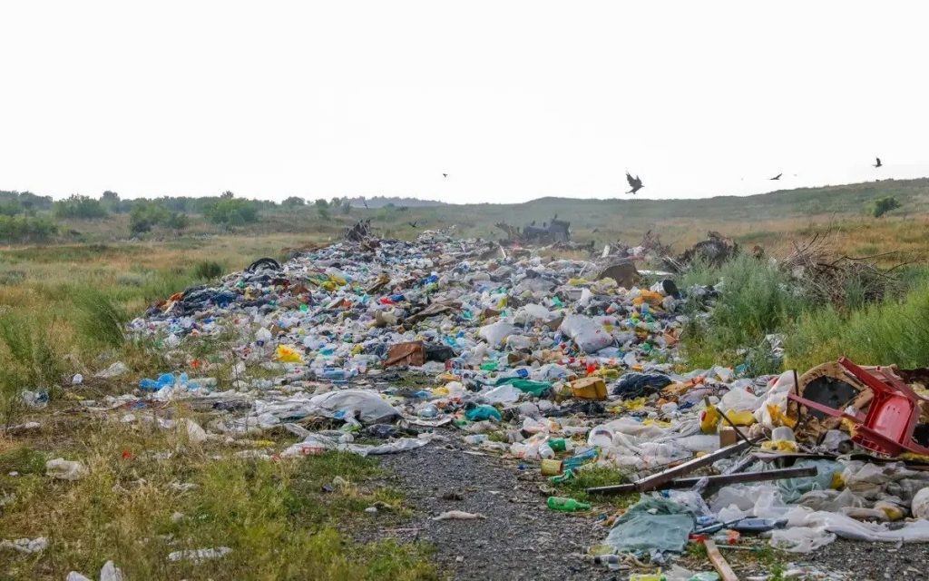 Елордада жыл сайын 300-400 заңсыз қоқыс алаңы анықталады