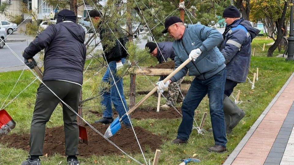 Елордадағы саябаққа 250 ағаш отырғызылды