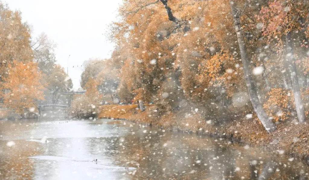 20 қазанда Қазақстанның бірнеше өңірінде қар жауады