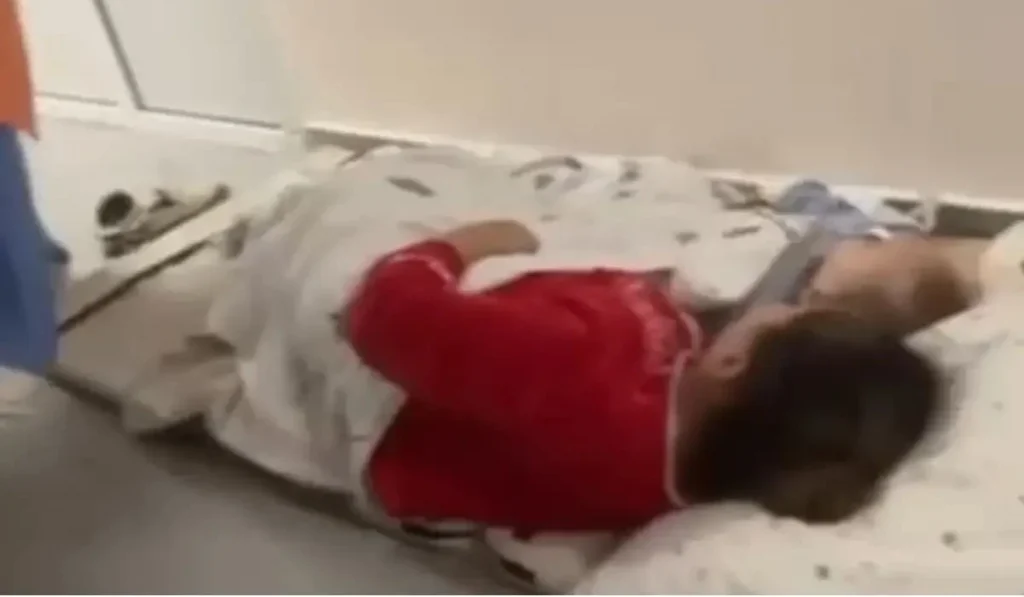 Шымкент әкімдігі видеоға түсініктеме берді