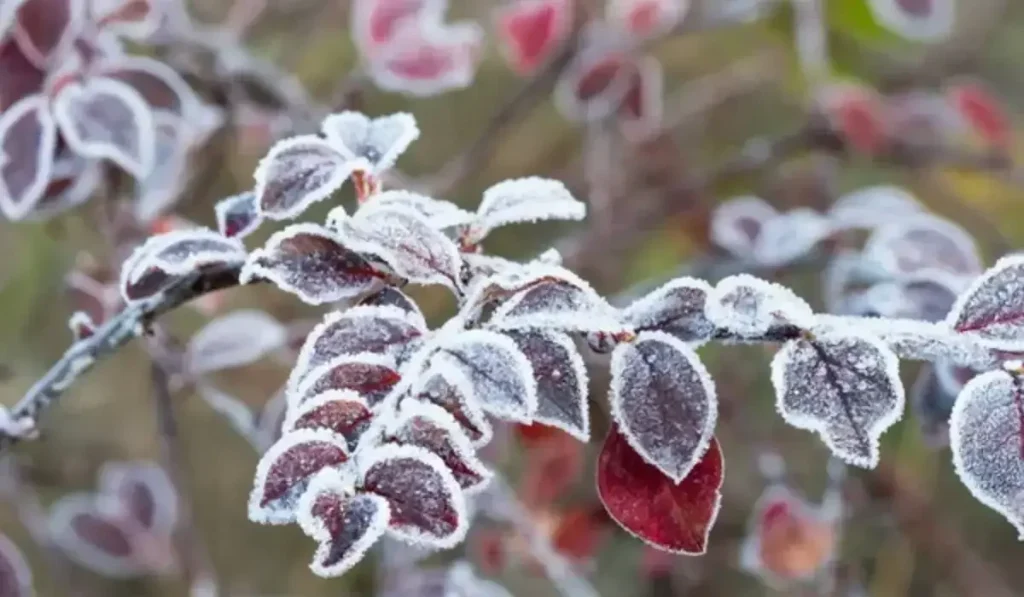 Елімізде 22 қазанда ауа райы қандай болады