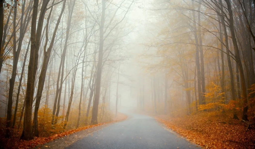 Еліміздің 16 өңірінде ауа райы нашарлайды