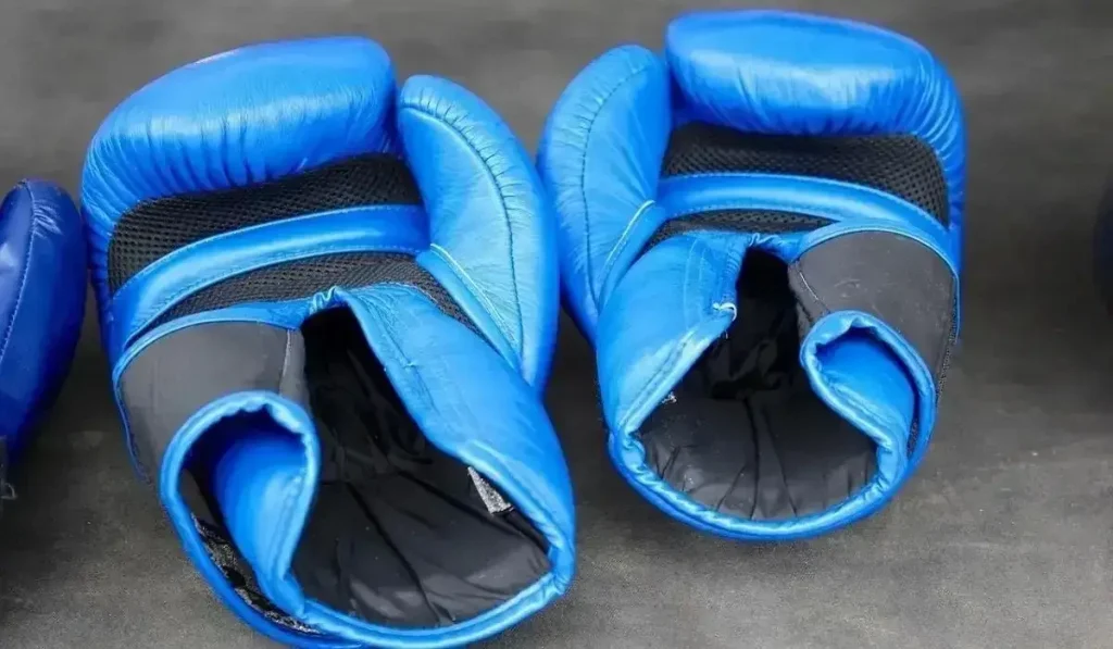 америкалық бапкер әлемді таңдандыратын қазақ боксшысын атады