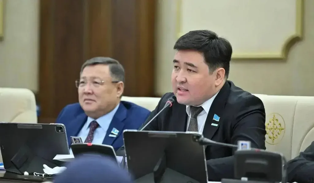 Мәжіліс депутаты пранк түсіргіш блогерлерді жазалауды ұсынды