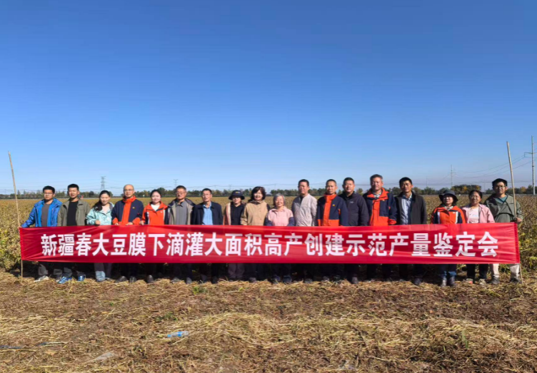 Синьцзянский производственно-строительный корпус установил рекорд Китая по урожайности весеннего соевого посева