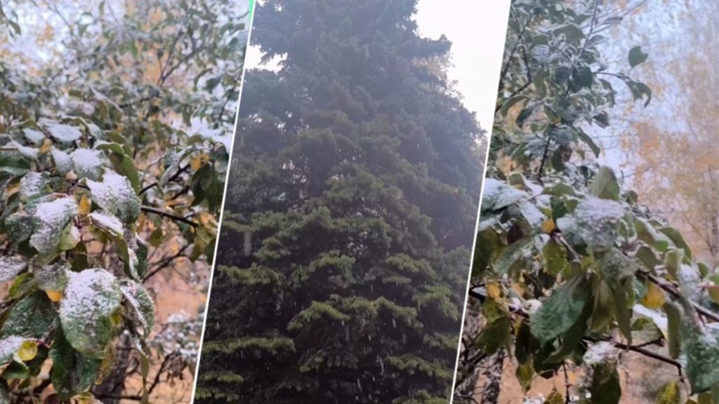 Алматыда қар жауды