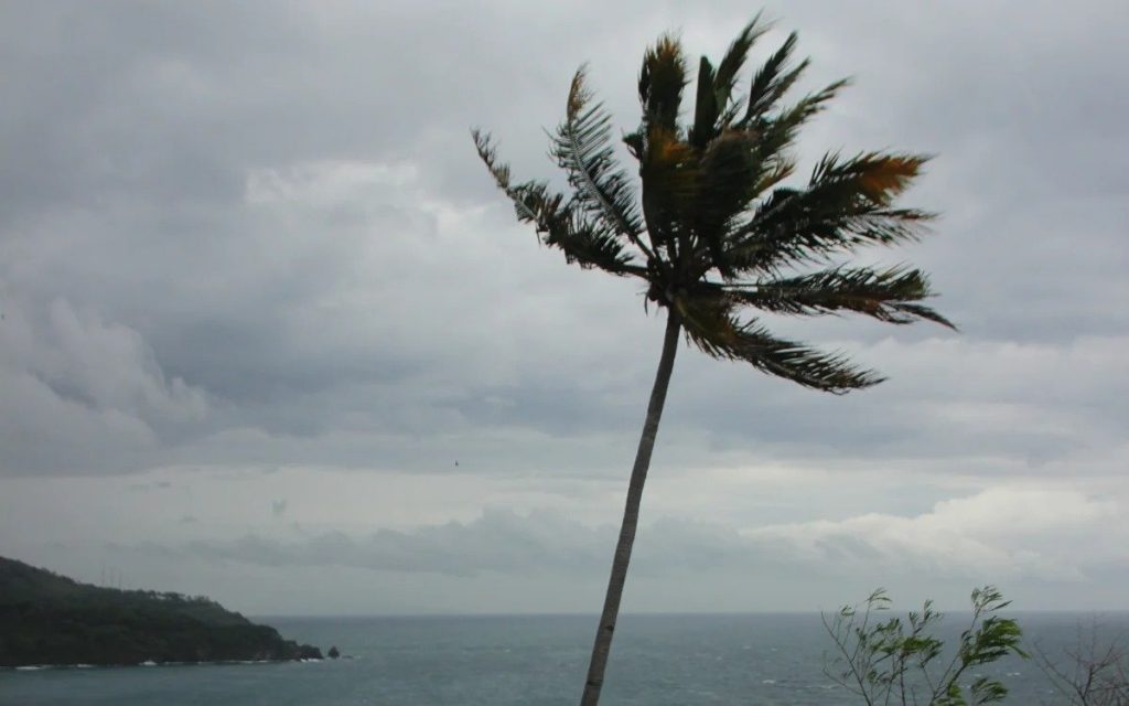 Қытайда «Матмо» тайфунына байланысты ең жоғары деңгейдегі ескерту жарияланды