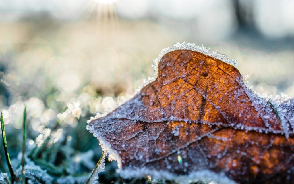 Қазақстанның оңтүстігі мен батысында шаңды дауыл тұрып, шығысында қар жауады