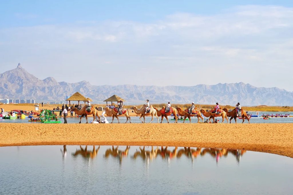 Путешественники могут покататься на верблюдах по пустыне вдоль озера Ухай. Фото: VCG