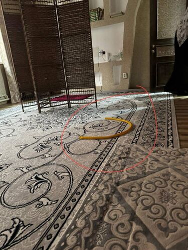 Насилие в семье