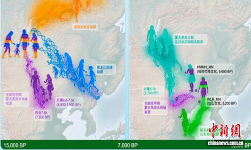 Учёные Китая нашли генетические доказательства раннего семейного уклада в Восточной Азии