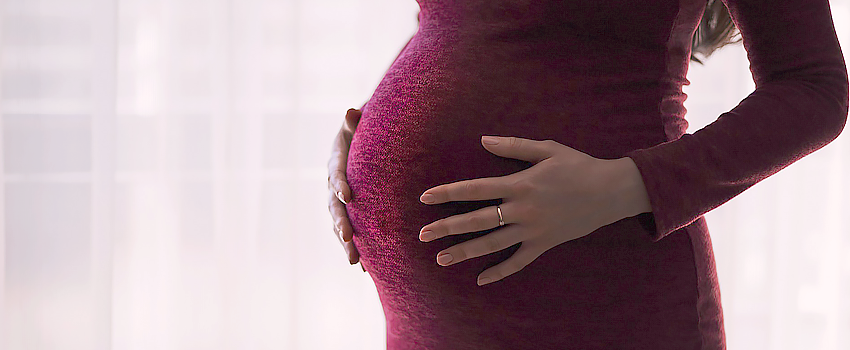 В Казахстане раскрыли схему фиктивного трудоустройства беременных на 200 миллионов тенге