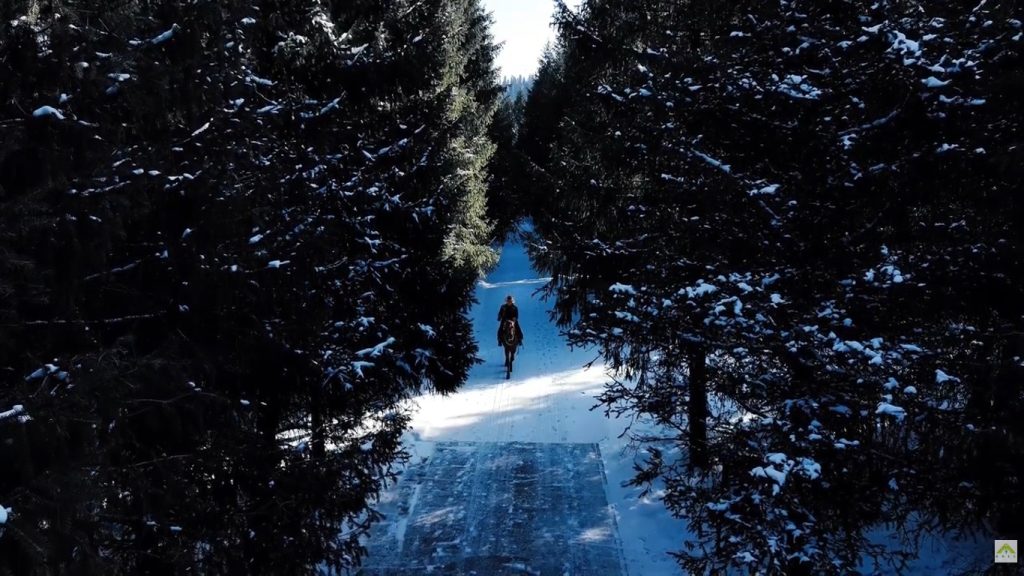 Следуя ветру и гоняясь за снегом (ВИДЕО) Конный спорт в Синьцзяне