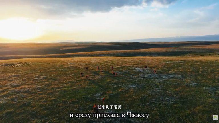 Синьцзян