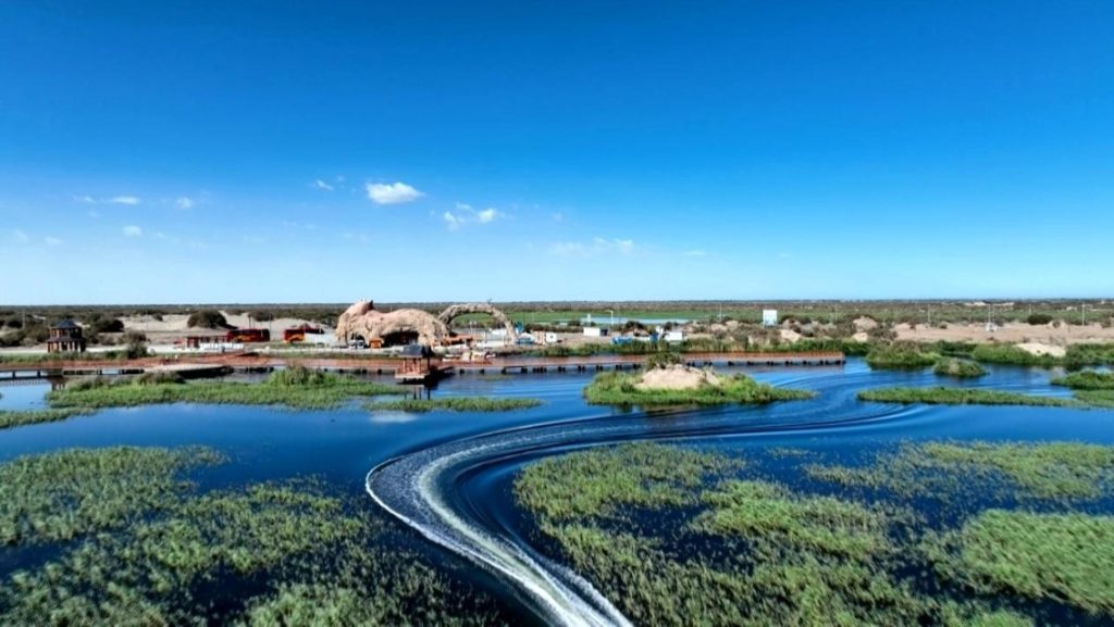 Как в Синьцзяне выращивают креветки в щелочной воде и спасают экосистему