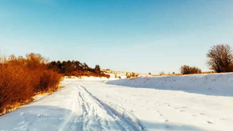 Снег