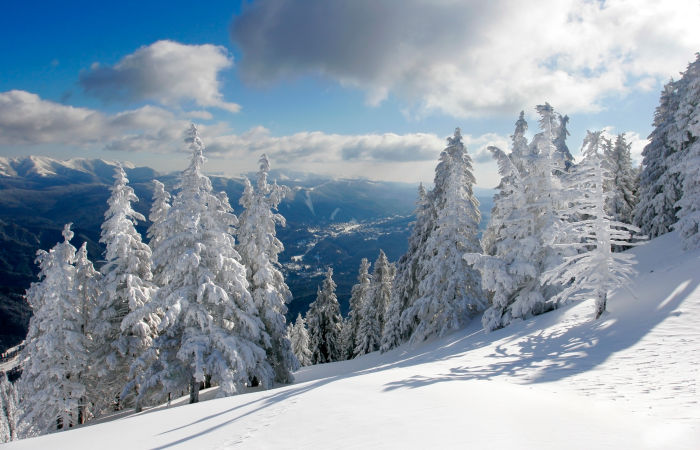 На Аляске произошло землетрясение магнитудой 7,0 Аляска
