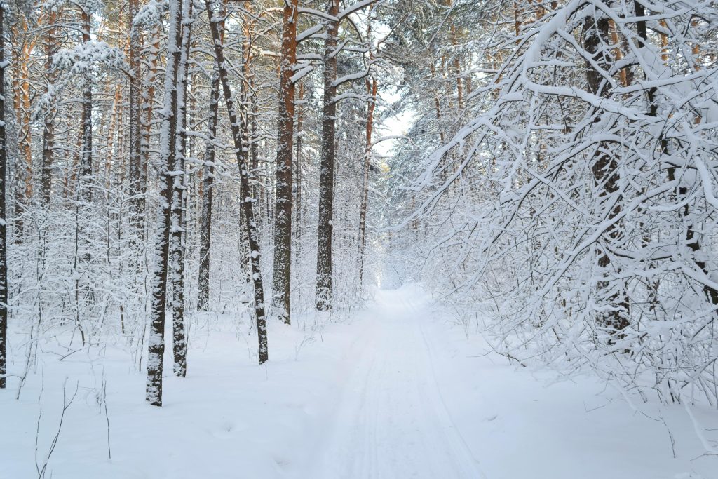 Усиление морозов и метели: Какая погода ждет Казахстан с 16 по 18 декабря
