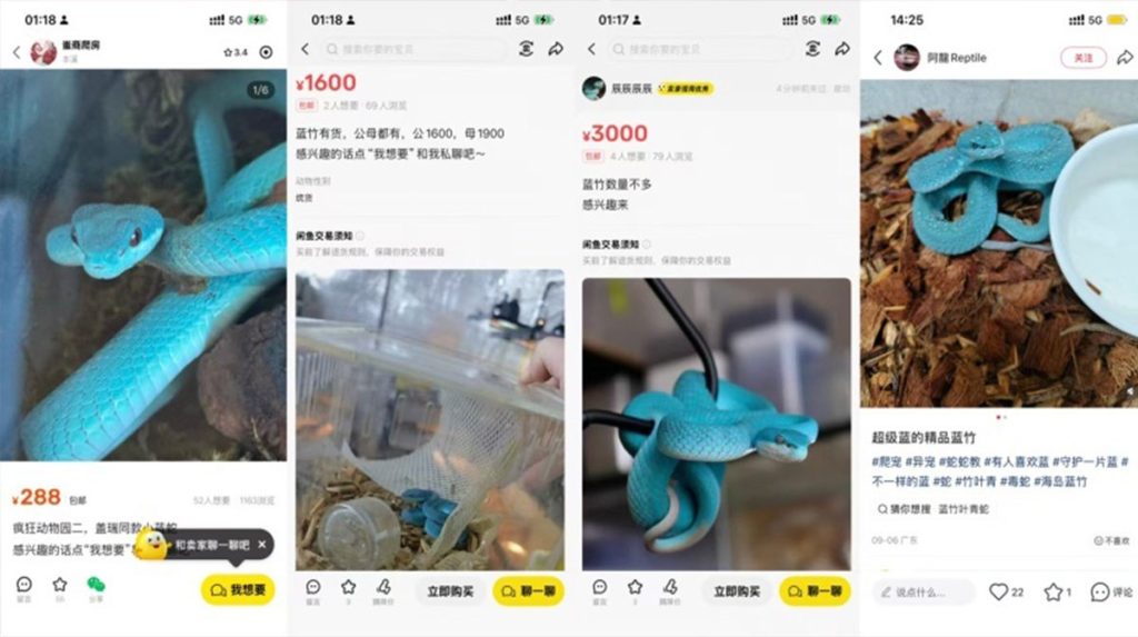 зверополис