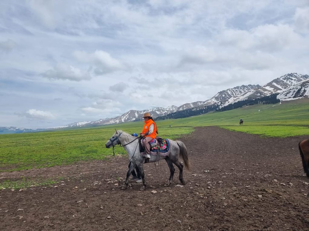 Конные прогулки