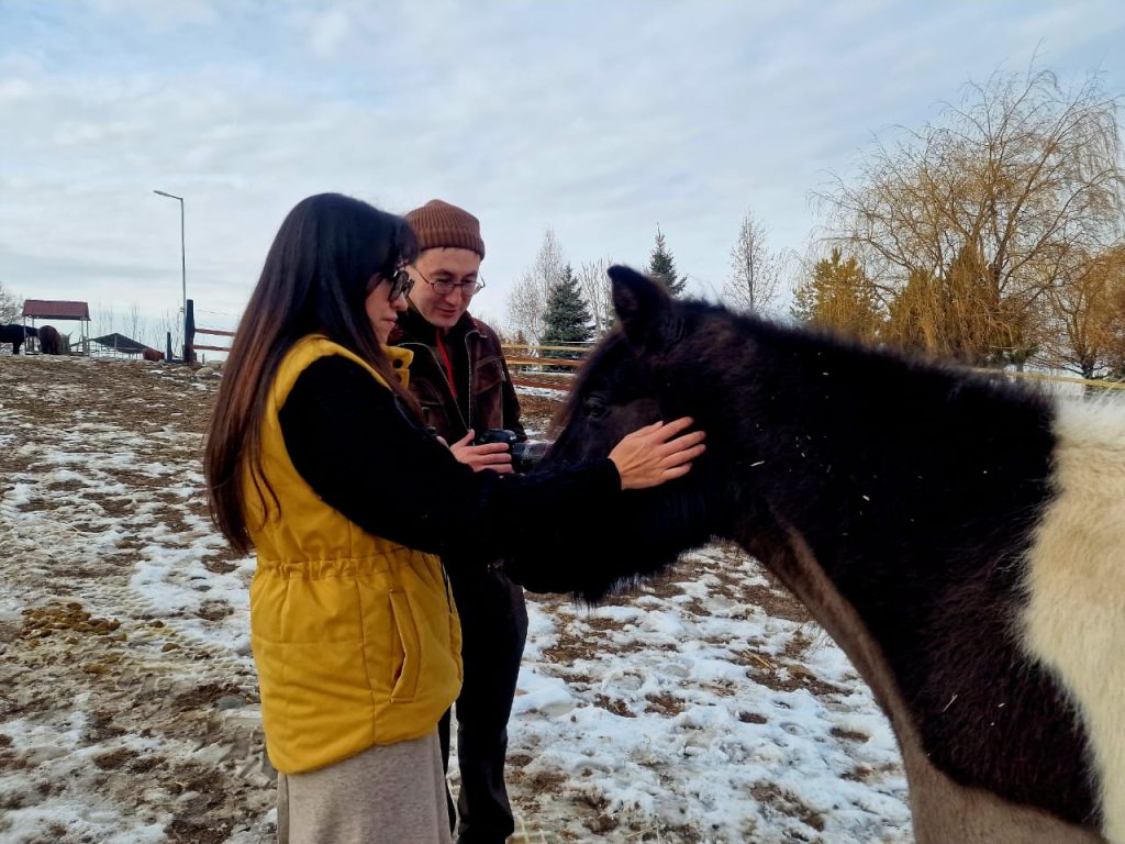 Терапия доверием: как в конном клубе Chamberlain в Алматы учатся гармонии у лошадей Конный клуб Chamberlain в Алматы
