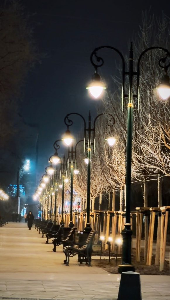 Алматы Пушкин көшесі
