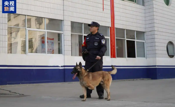 Трехлапый страж порядка: в Китае несет службу уникальный полицейский пес Бадунь