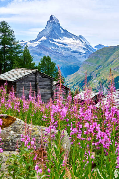 Matterhorn and rural scene at summer day, Switzerland.