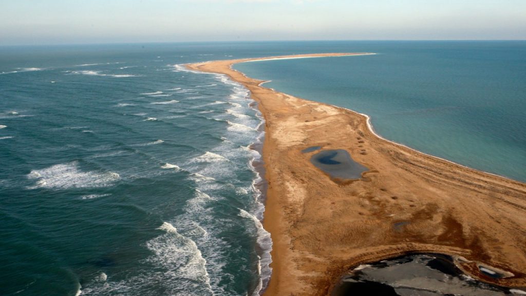 Правительство выделило 1,1 млрд тенге на изучение и сохранение Каспия