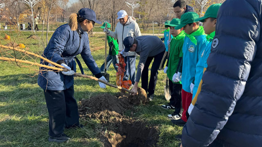 Посадка деревьев в Алматы