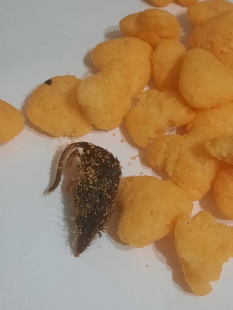 Опасная находка в Алматы: мёртвая мышь в пачке детских снеков