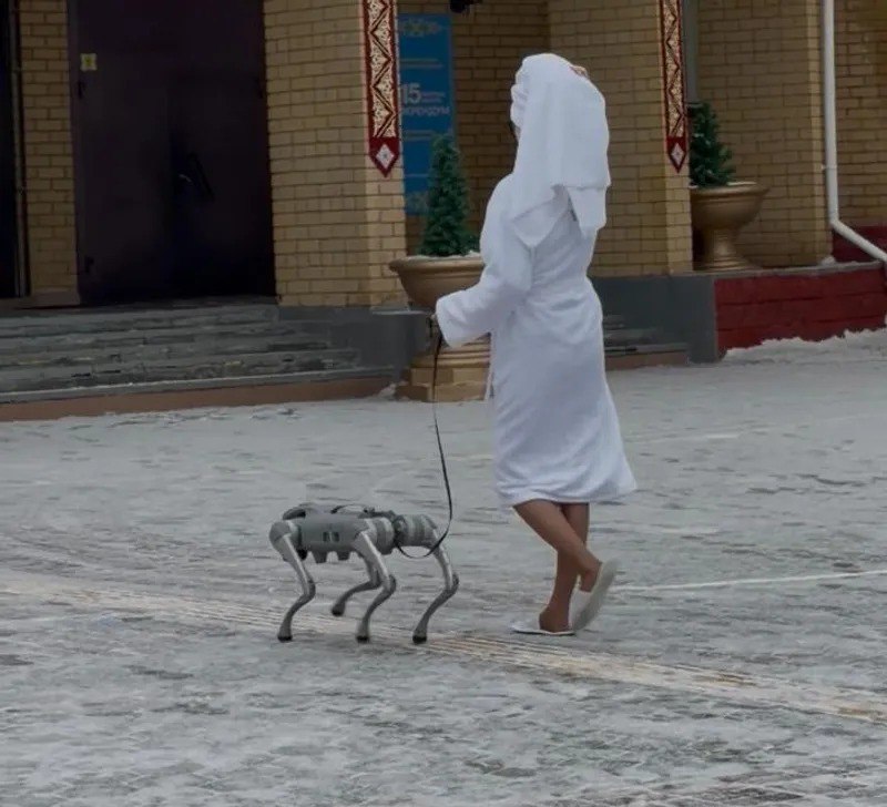 референдумдағы ерекше сайлаушылар