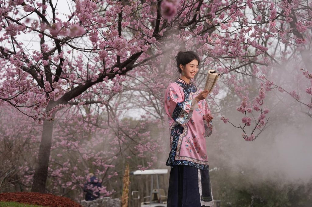 Сакура в Шанхае