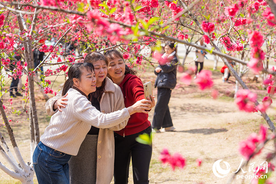 Весна в Фучжоу: город расцветает вместе с природой