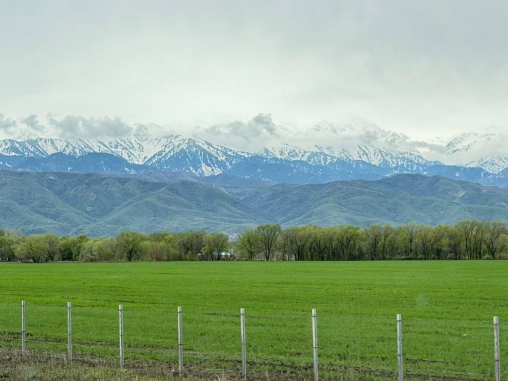 Вольфрам жолы және агро-инновация: Қытай бизнесі неге Еңбекшіқазақ ауданын таңдады? Инвестиция