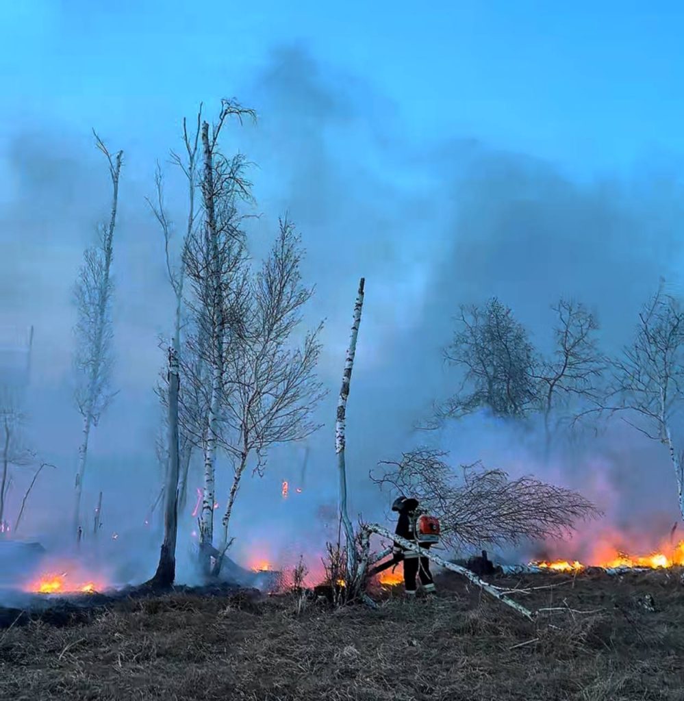 ТЖМ орман өртін сөндіру
