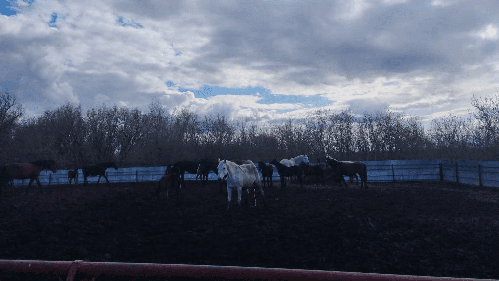 Фото: © Наталья Рыбакова / «Татар-информ»