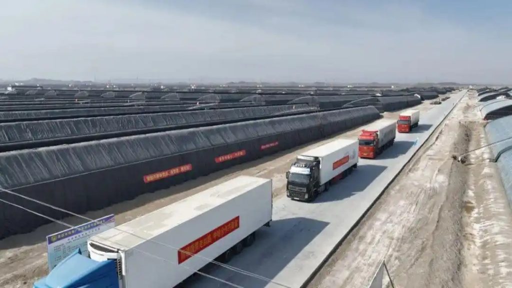 Экспорт свежих овощей из Китая в Казахстан ускорили до 12 часов — как передает Жэньминь жибао