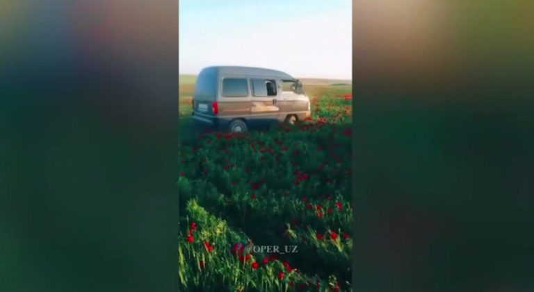 Кашкадарья