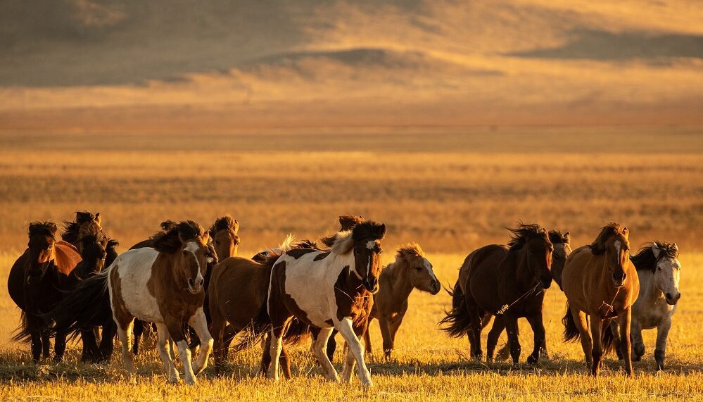 Фото: Сергей Бобылев/ТАСС